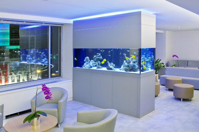 aquari a l'interior