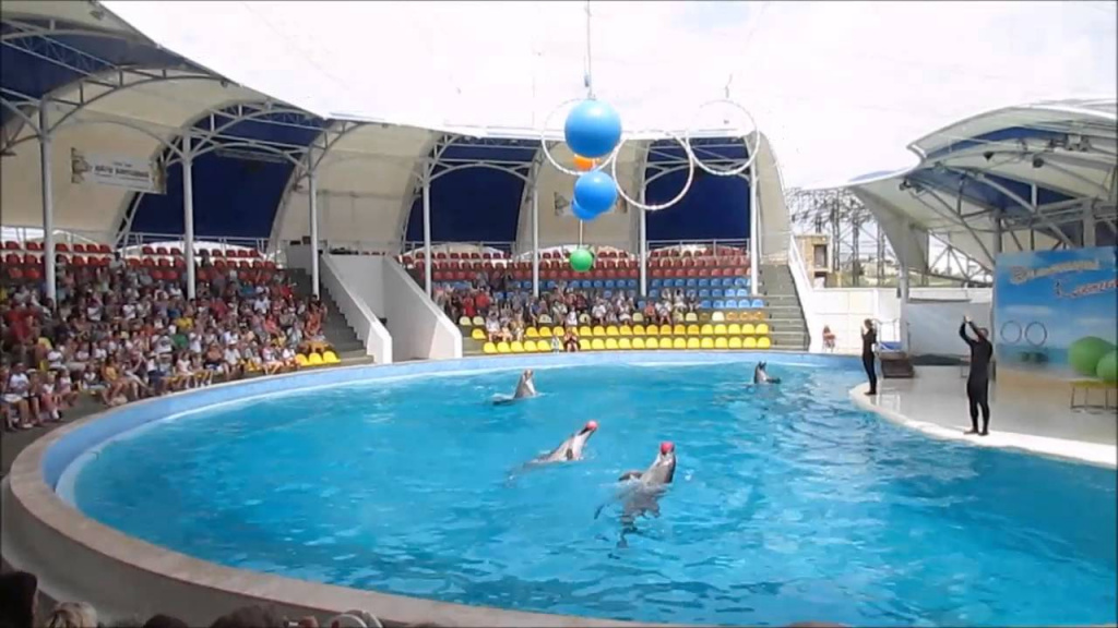 Delfinari Koktebel