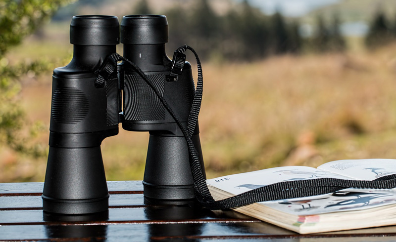 Com triar els binoculars