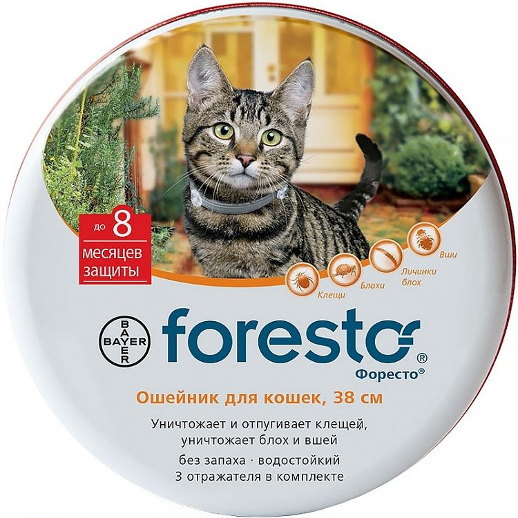 Foresto (Bayer) dla kotów 38 cm