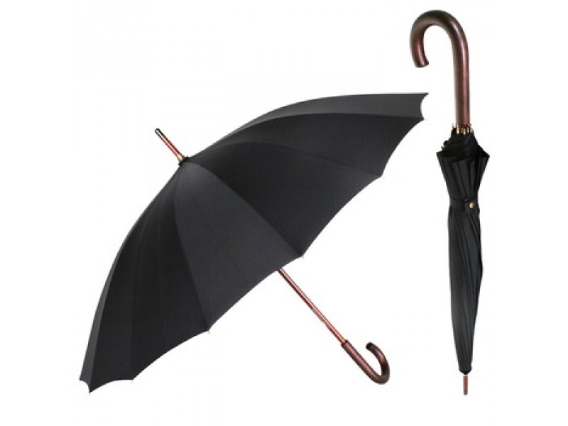 Deštník hole