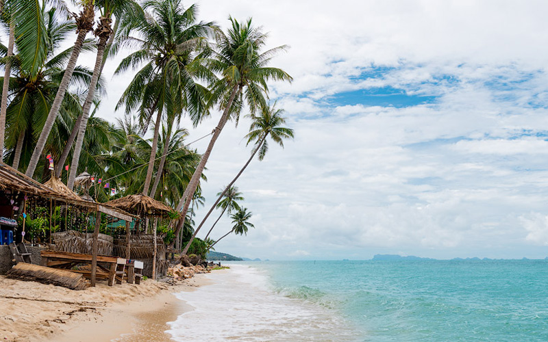 حظر التايلاندية الشاطئ
