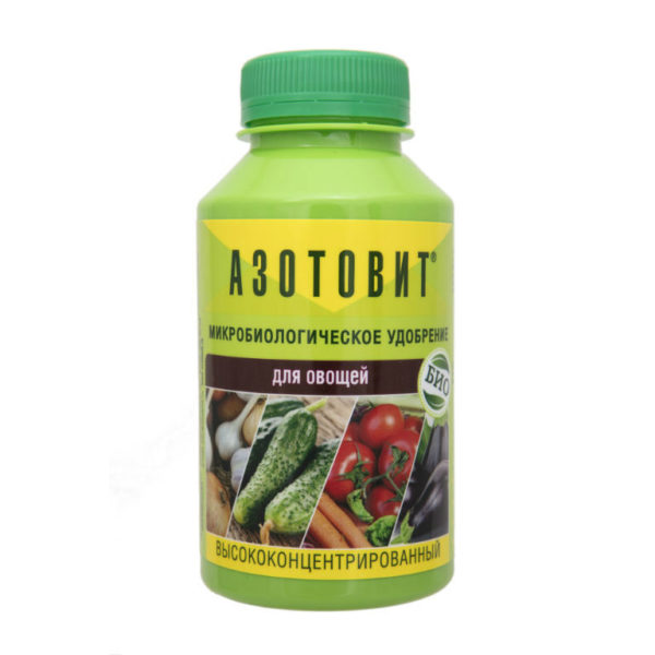 Mikrobiologisk gödsel Azotovit för grönsaker