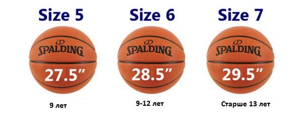 Kosárlabda méretek