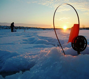 6 millors zherlits per a la pesca d'hivern