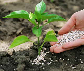 7 nejlepších dusíkatých hnojiv