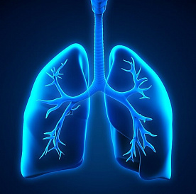 11 bästa botemedel mot bronkit