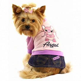 7 legjobb ruházati márka a kutyák számára az AliExpress segítségével