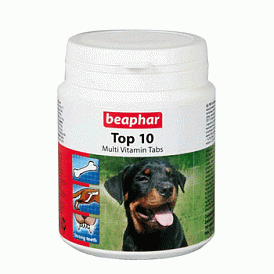 18 vitamine pentru câini