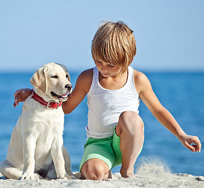 15 bästa hundraser för barn